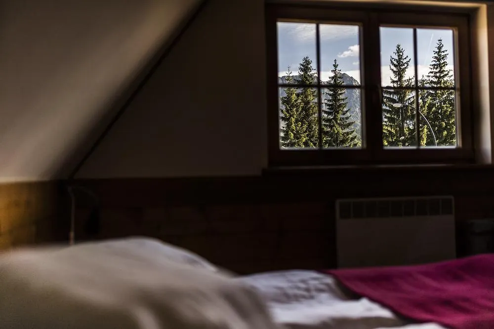 Apartment Willa Leluja Zakopane