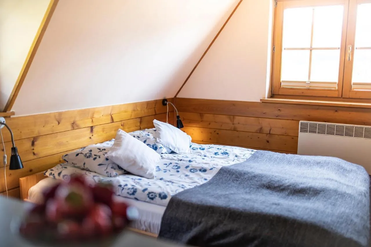 Willa Leluja Zakopane Apartment