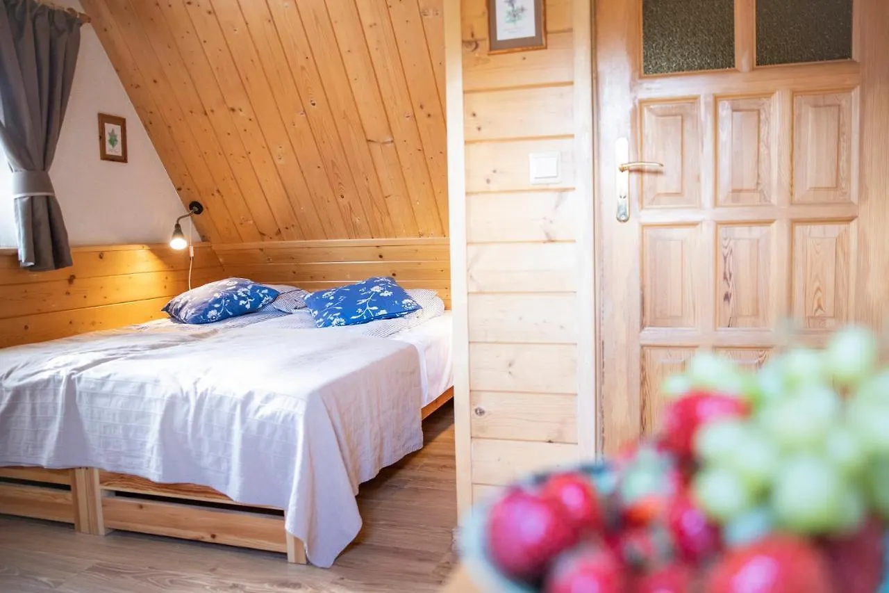 Willa Leluja Zakopane Apartment